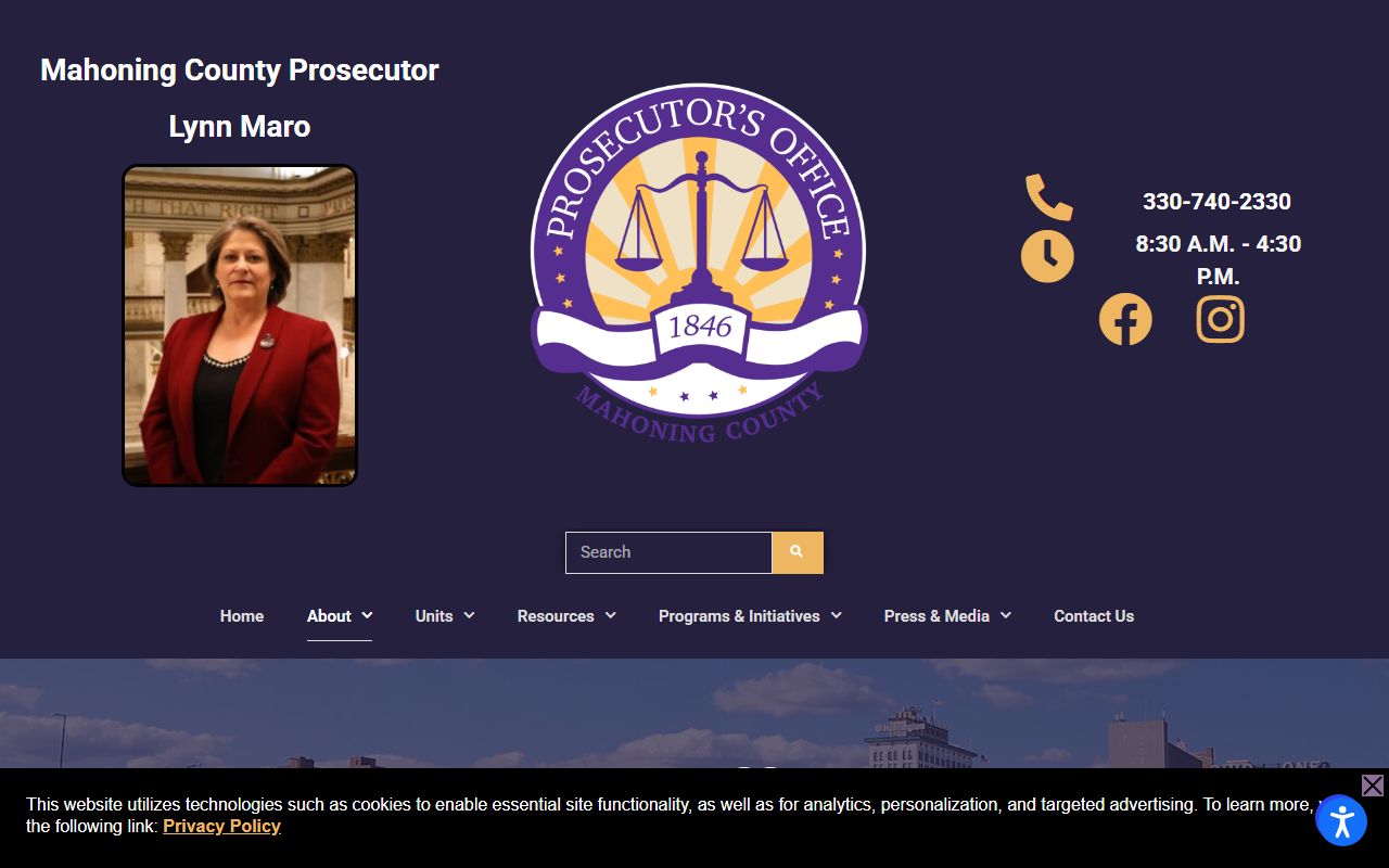 Mahoning County court records after arrest prosecutor staff page for Lynn A Maro